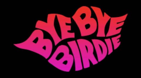 Bye Bye Birdie - July 19 & 20, 2025 - Huber Opera House